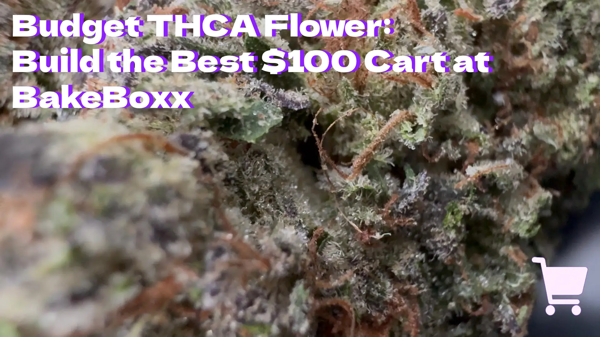 Budget THCA Flower: Build the Best $100 Cart at BakeBoxx