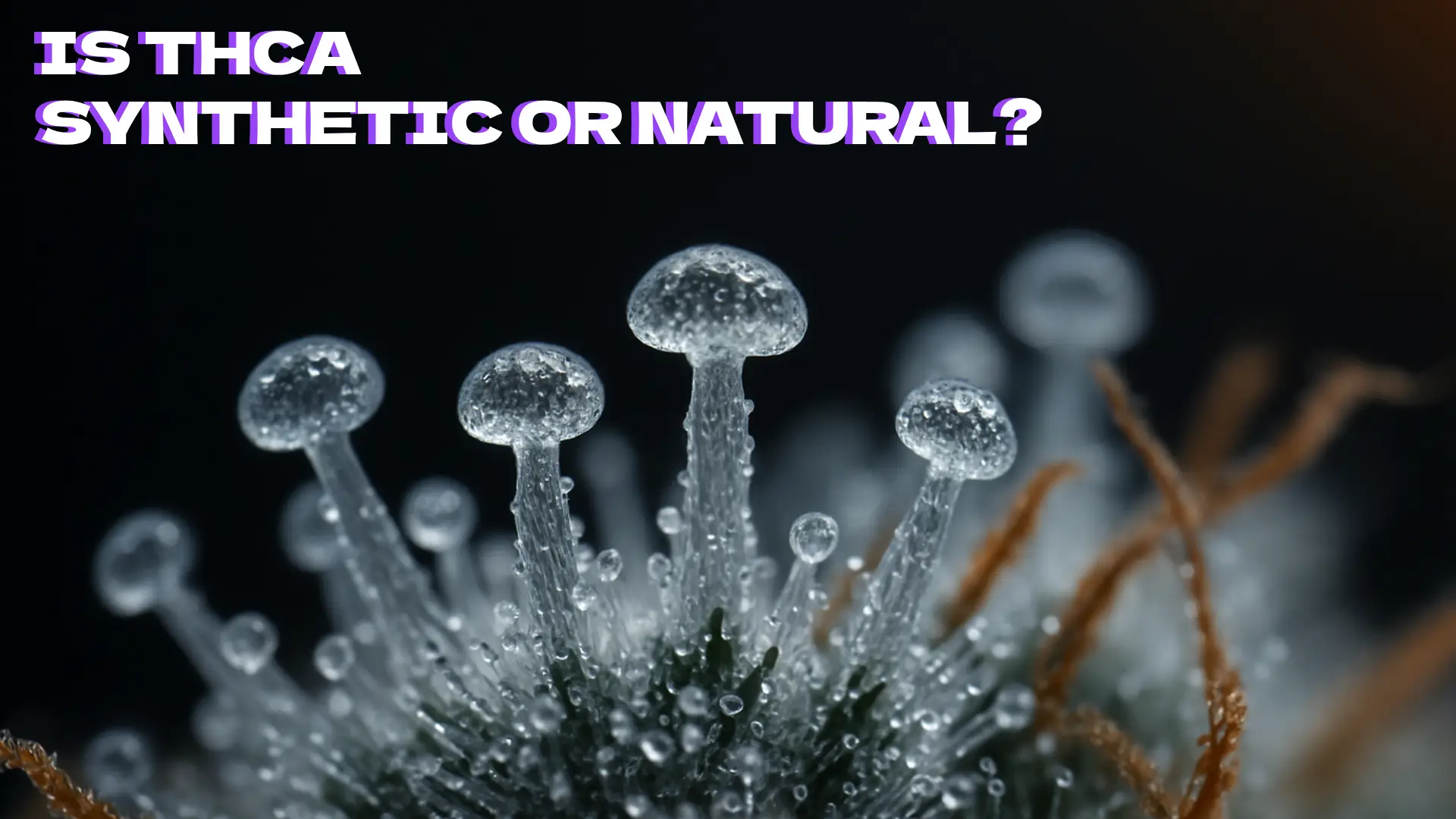 Is THCA Synthetic or Natural?