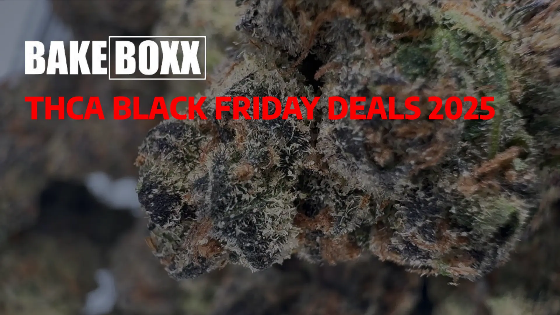 THCA Flower Black Friday — Save on Online Orders