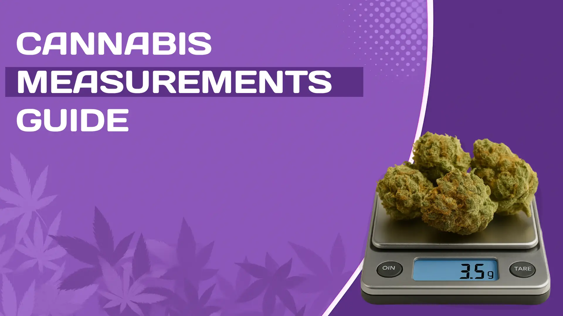 Cannabis Measurements Guide Grams, Eighths, Quarters & More (2025 Guide) 🌿📏