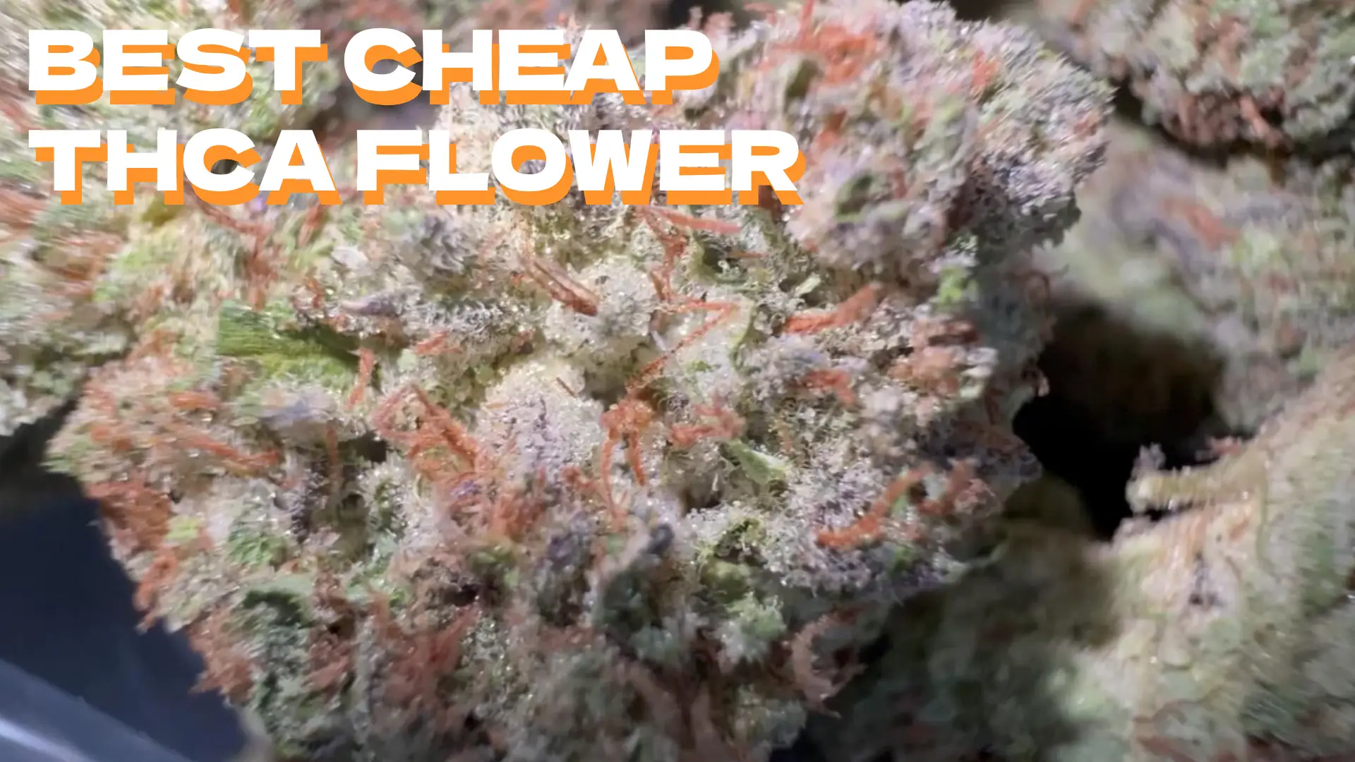 Best Cheap Thca Flower: Value For Your Money 💵