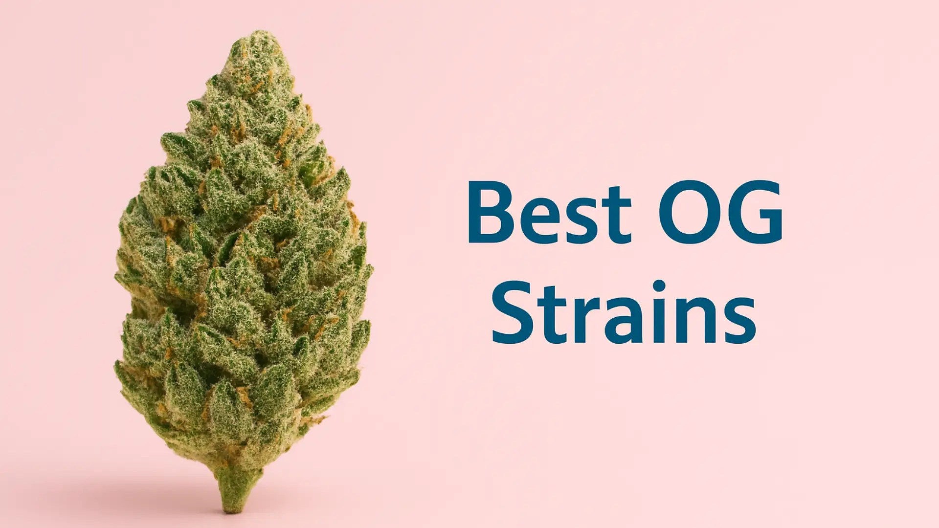 Top 10 OG Strains 🔥