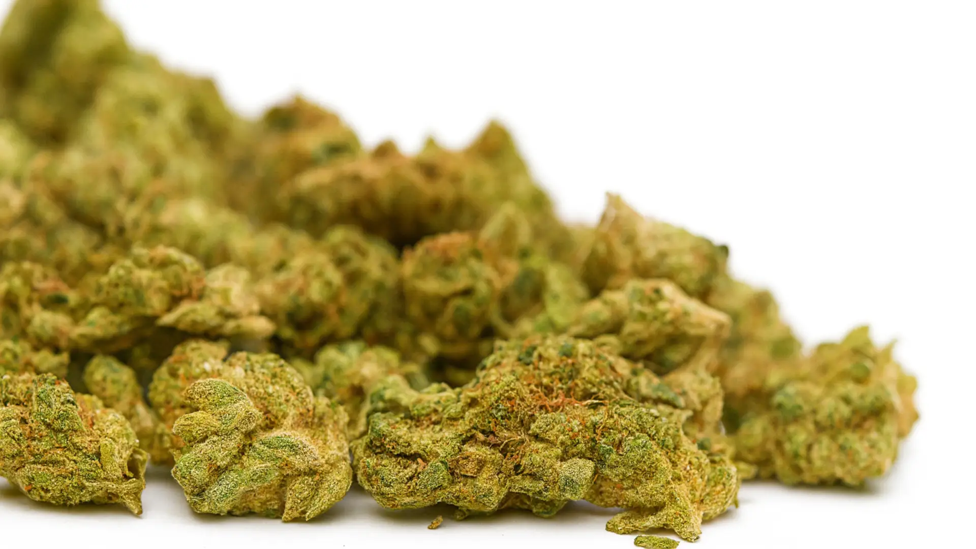THCA Small Buds: Value For Your Money?